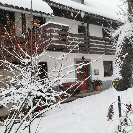 Apartma Pr Gatej 博希尼 外观 照片
