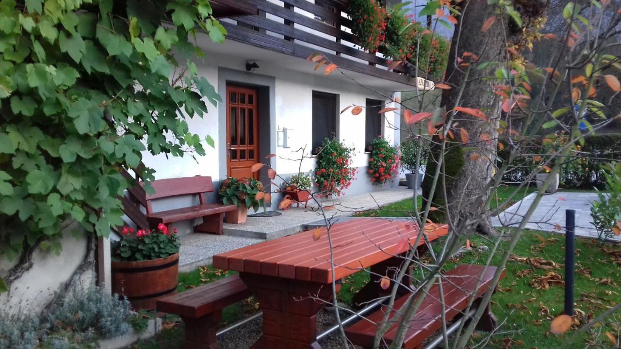 Apartma Pr Gatej 博希尼 外观 照片